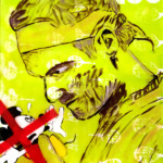 Roger Federer - Arthur Fischer Colbrie